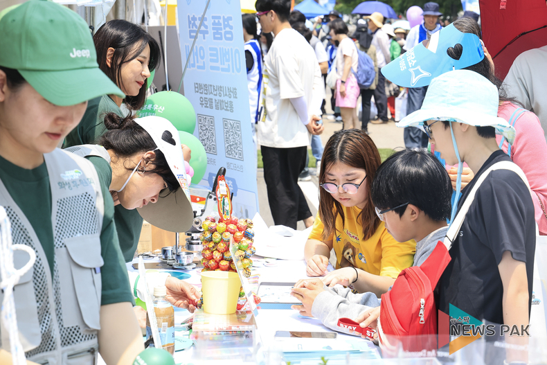 화성 뱃놀이 축제, 성대한 막 올랐다…전곡항 밤하늘 수놓은 불꽃 향연