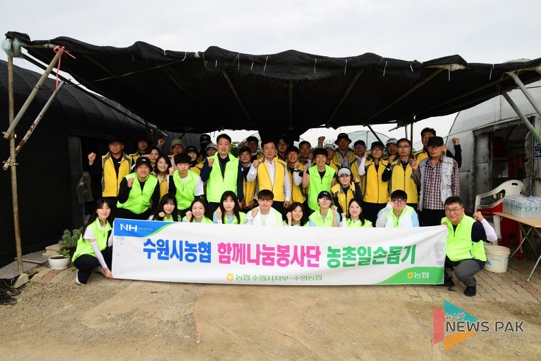 수원농협, NH농협 수원시지부, NH농협은행 대학생봉사단(N돌핀) 농번기 함께나눔 농촌 일손돕기 실시