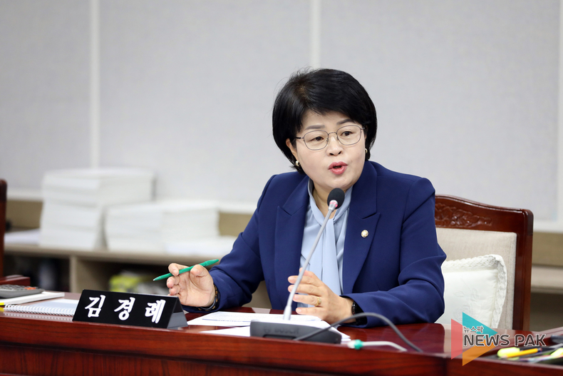 김경례 수원특례시의회 의원, 시민 안전을 위한 싱크홀 예방 조례 개정 추진