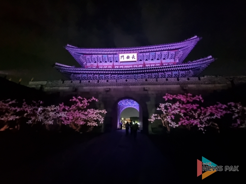 2025 수원화성 미디어아트, 51만 명의 관람객에게 빛나는 감동 선사