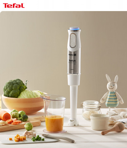 테팔 핸드블렌더 퀵셰프 베베 HB65H1KR