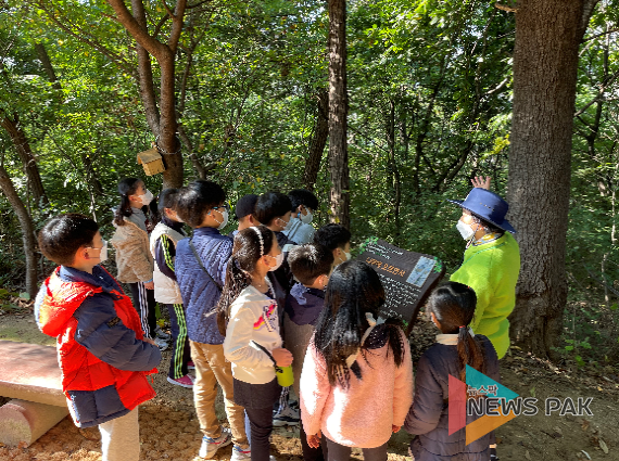 용인대일초 대지산 숲체험 프로그램