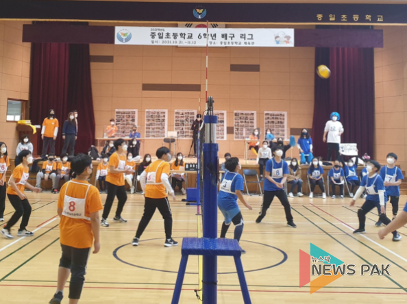 용인 중일초, 모두가 함께하는 6학년 배구 리그 축제