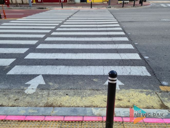 갈곡초등학교 인근 횡단보도에 설치된 모습
