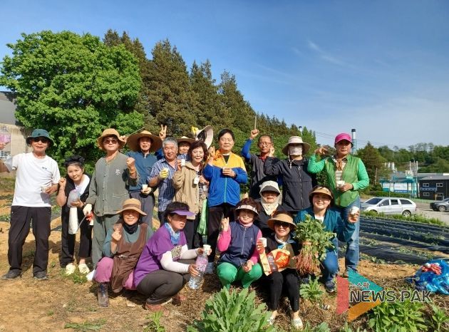 남촌동 통장단협의회, 사랑의 고구마 심기