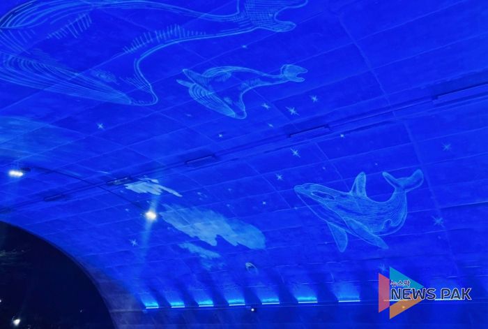 기흥구 보라동 639 생태1교 터널에 경관 조명이 설치됐다