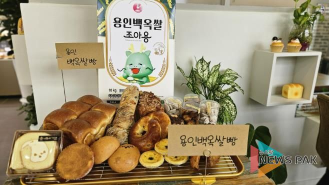 용인특례시 '백옥쌀가루'로 만든 빵