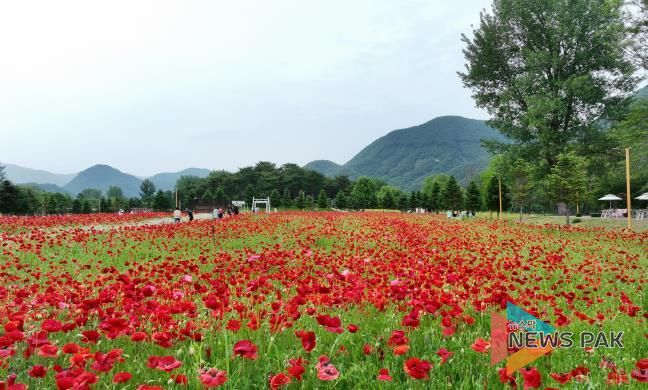 지난 5월 열린 봄꽃 페스타 행사장 전경