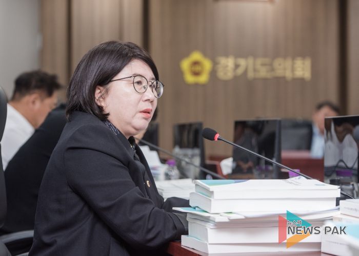 경기도의회 도청예산결산특별위원회 이서영 도의원(국민의힘, 비례)