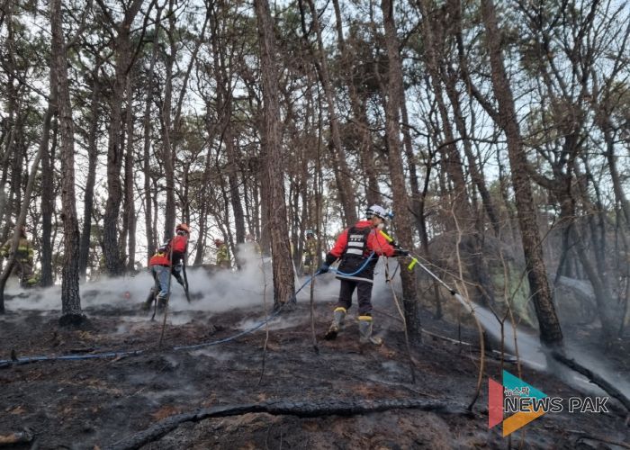 고양시 덕양구, 산림 인접지역 불법소각 등 집중 단속 실시