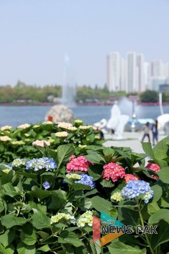수국정원과 조각 정원