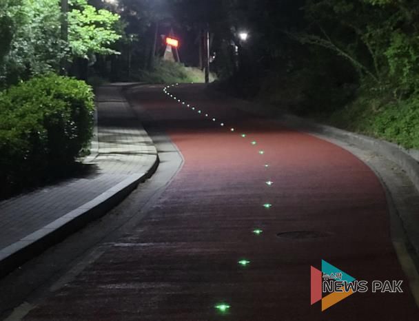 쏠라도로표지병