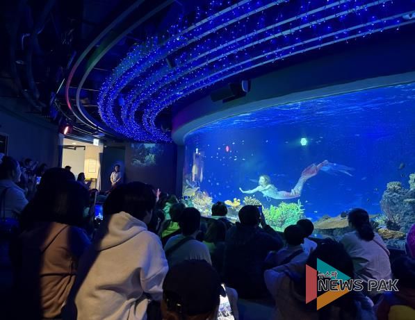 수원특례시 드림스타트 아동·가족이 아쿠아플라넷 관람을 하고 있다.