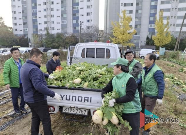 수원시 권선구 새마을지도자협의회, ‘사랑의 무’수확