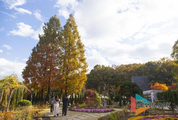 무릉도원수목원