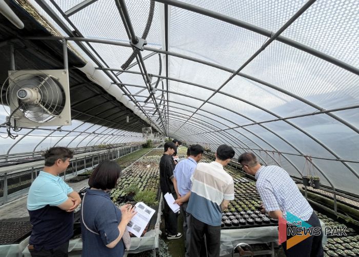 농업기술센터 실증온실에서 커피박과 우분을 혼합한 퇴비 시용 실험이 진행되고 있다.