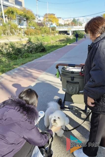 수원시 권선구, 동물등록 집중단속 및 공공장소 지도·단속 실시