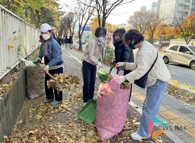 수원시 장안구 정자3동, 가을맞이 낙엽 대청소 실시