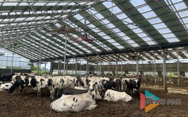 2025년 낙농육우산업 경쟁력 강화사업으로 대형환풍기 설비를 지원받은 축산농가 모습