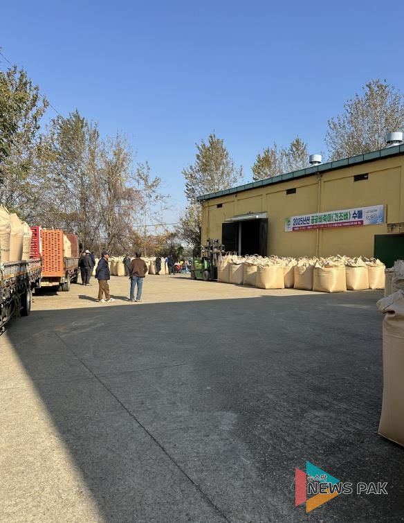 평택시, 2025년산 공공비축미곡 건조벼 매입 실시