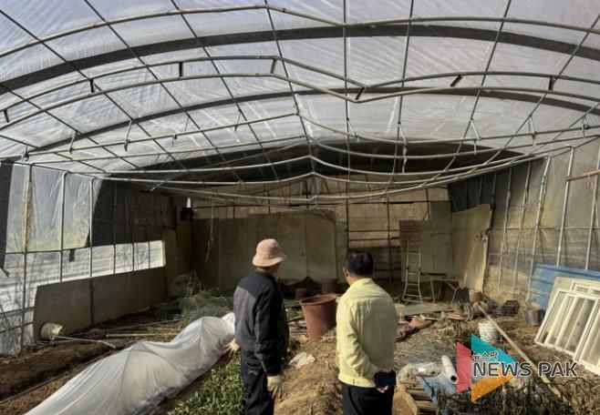 시흥시 매화동, 겨울철 주거용 비닐하우스 안전 점검 추진