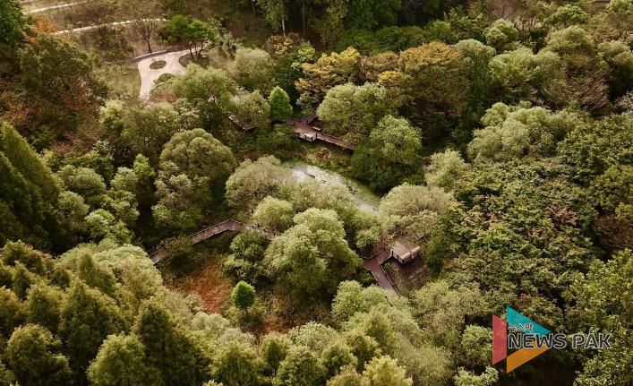 무장애 나눔길(물향기수목원)