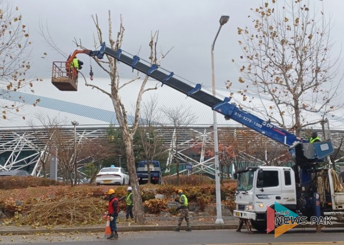고양시 일산서구, 교통흐름 방해 가로수 전정 완료