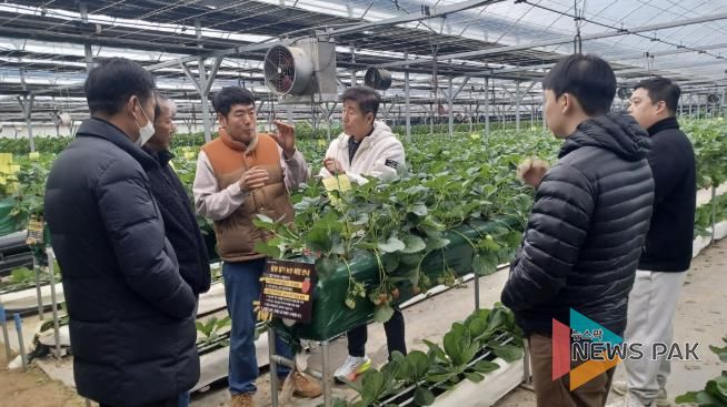 광주시, 딸기연구회 농가 대상 맞춤형 현장 자문 실시