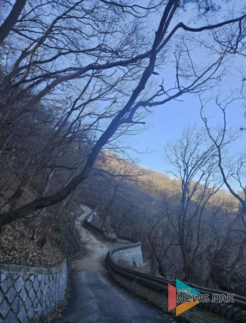 용인특례시가 석성산 숲길 정비사업을 진행한 현장 모습