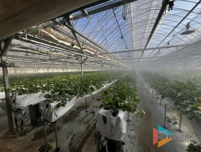 광주시, 선택형 맞춤 농정사업 추진…명품 농산물 육성 본격화