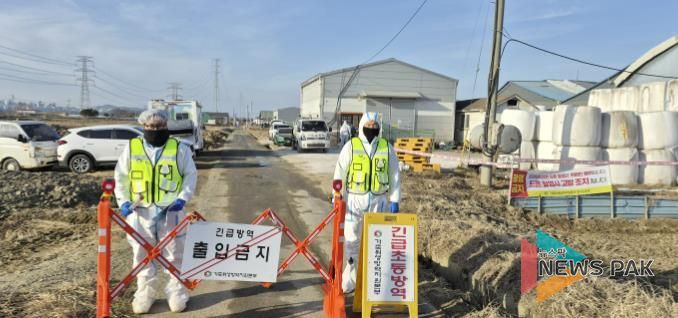 구제역 발생 농가 현장