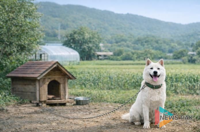 안성시, 농촌지역 실외사육견 중성화수술 지원사업 실시