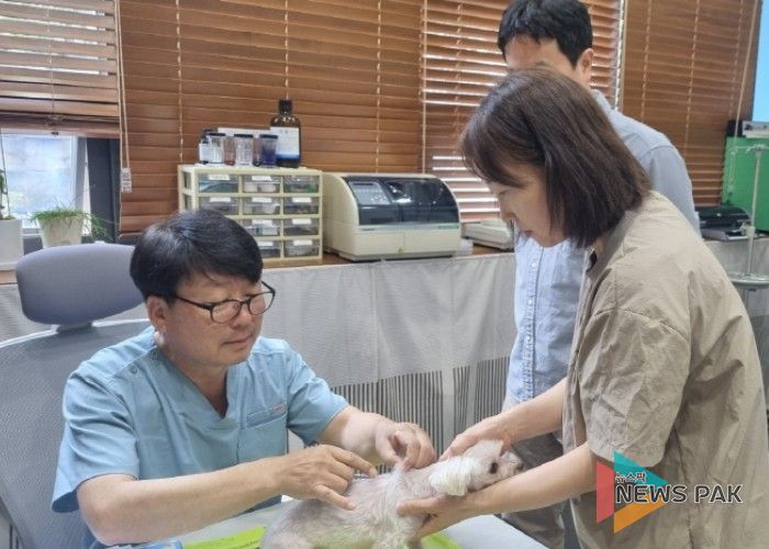 고양시, 2026 상반기 광견병 예방백신 무료 접종 실시